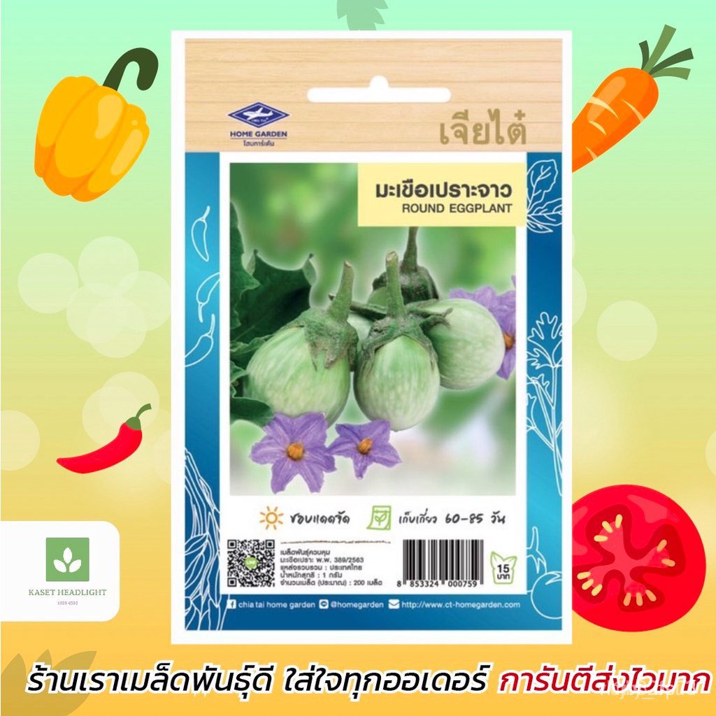 ผลิตภัณฑ์ใหม่-เมล็ดพันธุ์-เมล็ดพันธุ์คุณภาพสูงในสต็อกในประเทศไทย-พร้อมส่งมะเขือเปราะจาว-เจียไต๋-เมล็ดอวบอ้วนมะเข-ง่าย-ih