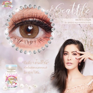 sweety plus seattle brown and gray ไม่มีค่าสายตา พร้อมส่ง