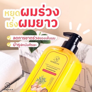 (🔥ของแท้/ส่งไว🔥) Vanekaa Ginger Hair Shampoo แชมพูสารสกัดจากขิงเข้มข้น ขนาด 500 ml.