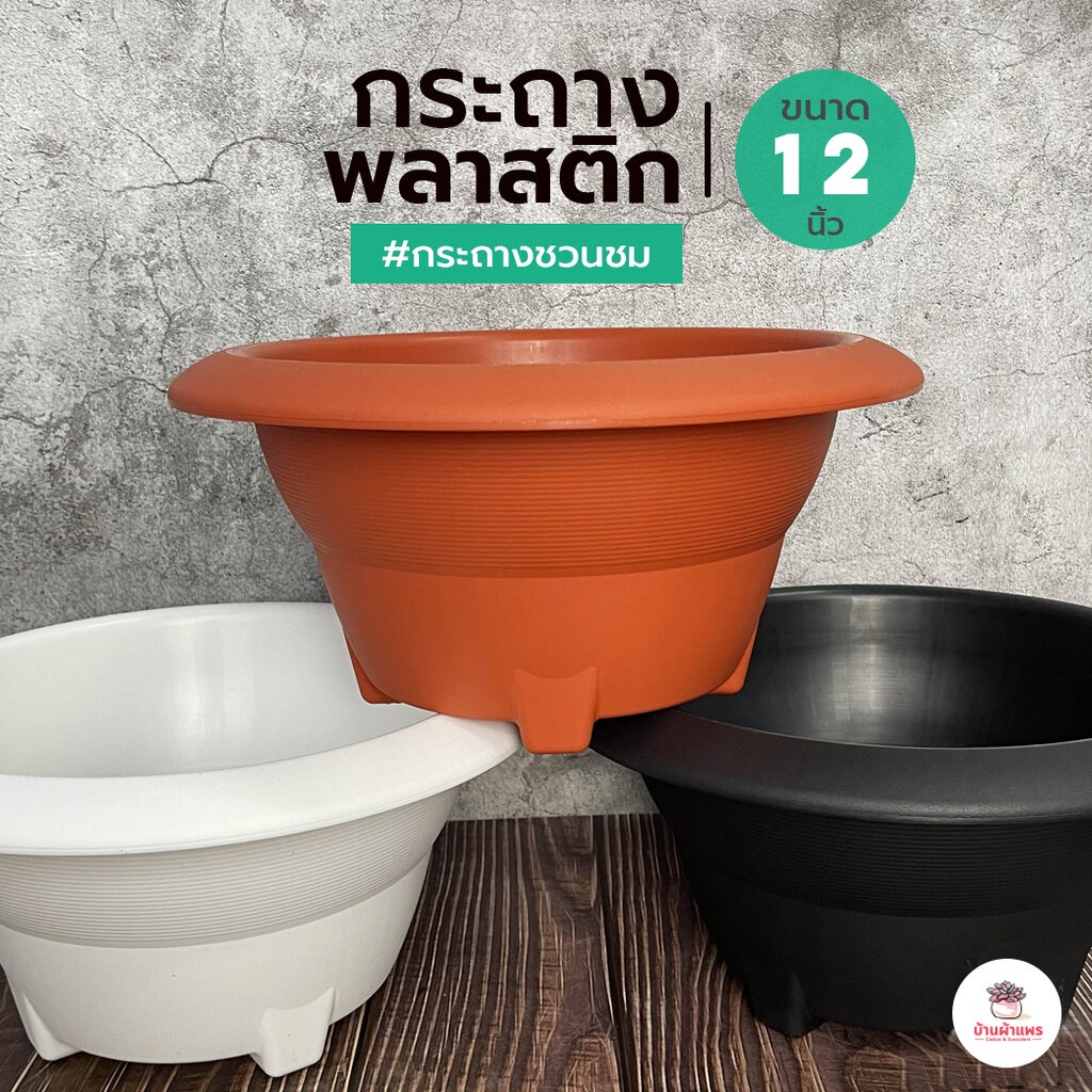 กระถาง-12-นิ้ว-กระถางชวนชม-กระถางกระบองเพชร-กระถางพลาสติก-กระถางต้นไม้