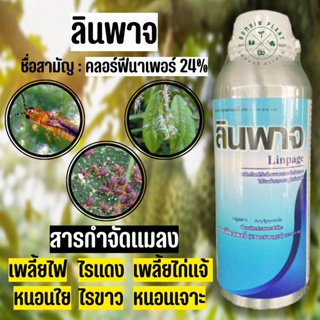 ลินพาจ สารคลอร์ฟีนาเพอร์ 24% SC สูตรเย็น(ขนาด 1 ลิตร)กำจัด เพลี้ยไฟ เพลี้ยไก่เเจ้ ไรเเดง ไรขาว หนอนเจาะ หนอนใยกำจัดเเมลง