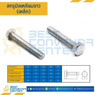 สกรูหัวเหลี่ยม เกลียวตลอดชุปขาว M6,M8,M10,M12