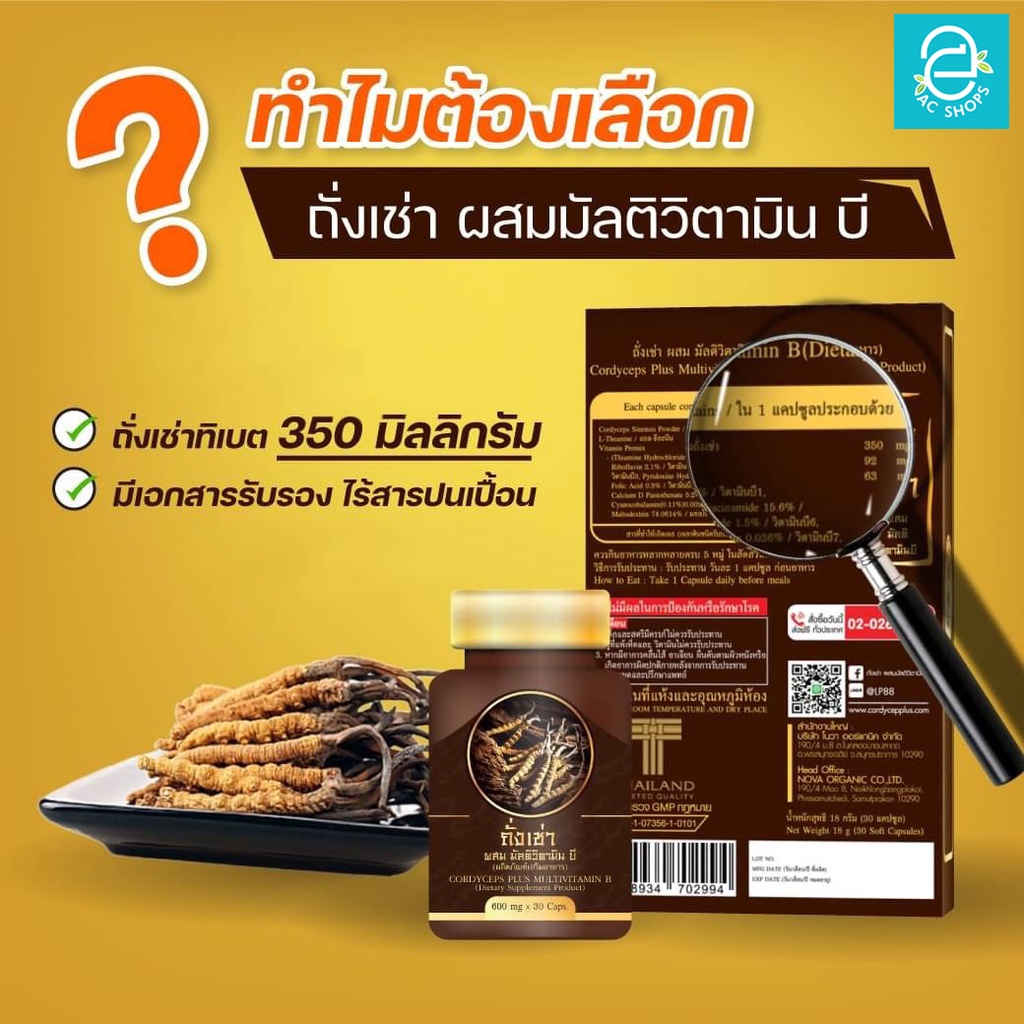 ถั่งเช่าผสมมัลติวิตามินบี-ชุด-4-กล่อง-แถมฟรี-กาแฟ-ถั่งเช่า-4-ซอง-ถั่งเช่าทิเบต-donutt-cordyceps-plus-multivitamin-b