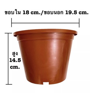 กระถางต้นไม้ กระถาง กระถางพลาสติก ไม่มีลาย ขนาด 19.5x14.5 cm.