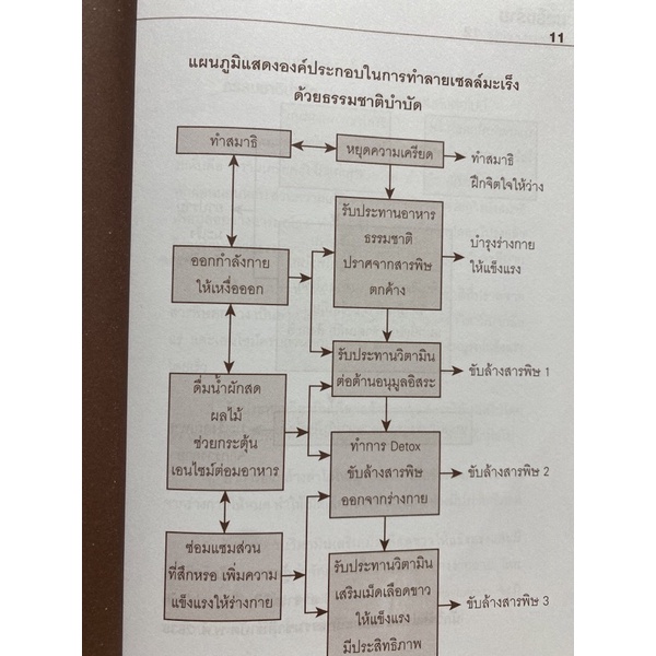 9786165785037-มะเร็งร้ายหายด้วยธรรมชาติบำบัด