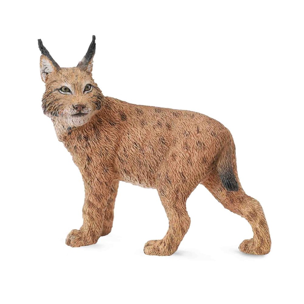 ใหม่-collecta-88565-lynx-โมเดลแมวป่า-ขนาด-8-ซม