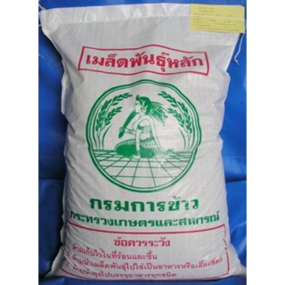 เมล็ดพันธุ์ข้าว กข31 กรมการข้าว ชั้นพันธุ์หลัก น้ำหนัก 20 กก. ปทุม