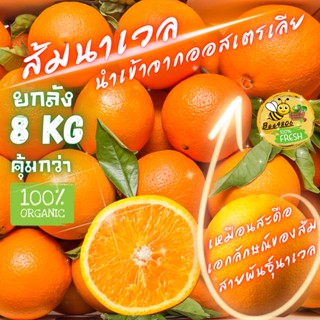 🍊ส้มนาเวล ยกลัง 8 กิโล ผลไม้พรีเมี่ยม(ที่สุดของส้มนำเข้าจากออสเตรเลีย) "รับประกันทุกผล" หอม หวาน เนื้อล่อน ปอกง่าย