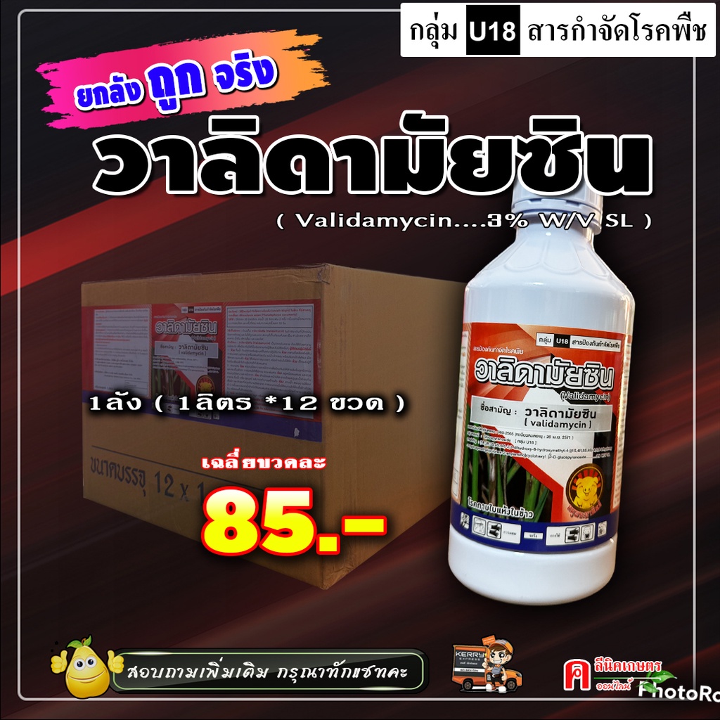 ขายยกลัง-วาลิดา-หมู-วาลิดามัยซิน-validamycin-สารป้องกันกำจัดโรคพืช-เชื้อรา-โรคใบไหม้-โรคกาบใบแห้ง-โรคใบติด