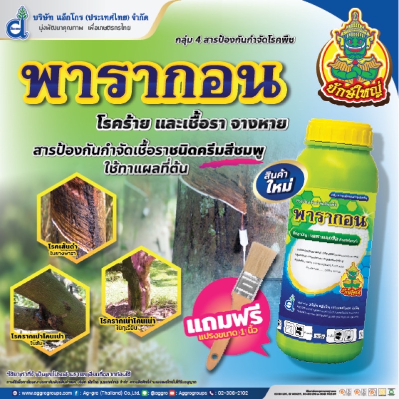 พารากอน-1-ลิตร-ใช้ป้องกันและรักษาอาการหน้ายางตายนึ่งของยางพารา-ที่เป็นผลมาจากโรคเปลือกเน่า-โรคเส้นดำ-โรคลำต้นเน่า