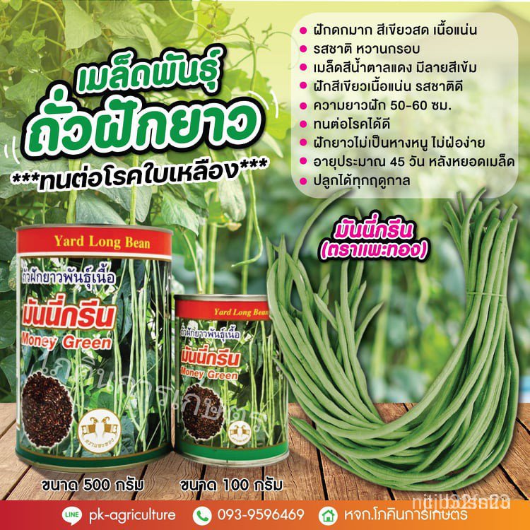 ผลิตภัณฑ์ใหม่-เมล็ดพันธุ์-เมล็ดอวบอ้วน100-ไทยในสต็อกพร้อมส่งเมล็ดพันธุ์ถั่วฝักยาวมันนี่กรีน-ขนาด-100-500-กรัมเ-ง่าย-hy