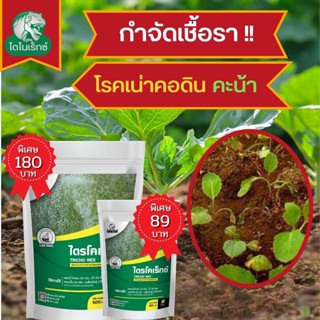 กำจัดเชื้อรา สาเหตุของโรคเน่าคอดิน ในคะน้า ไตรโคเดอร์มา ไตรโคเร็กซ์ ปลอดภัยต่อคนและสัตว์เลี้ยง 100%