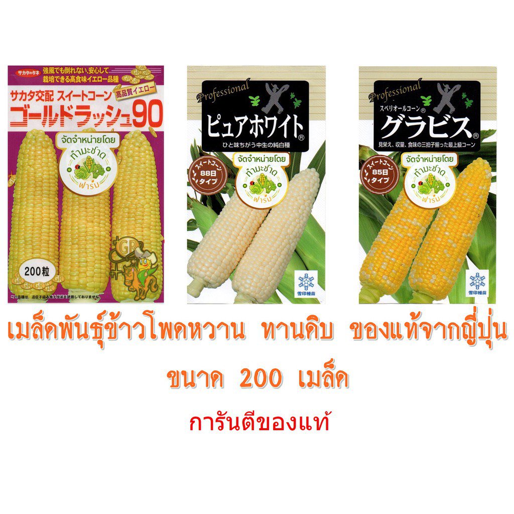 ซองแท้-30ml-เมล็ดพันธุ์-ข้าวโพด-เพียวไวท์-pure-white-hokkaido-sweet-corn-ง่าย-ปลูก-สวนครัว-เมล็ด-ง่าย-4oos