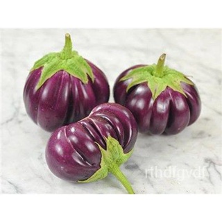 ผลิตภัณฑ์ใหม่ เมล็ดพันธุ์ 2022เมล็ดอวบอ้วน มะเขือ จานม่วง (Thai Purple Ribbed Eggplant Seed) บรรจุ 100 เมล็ด ลู /งอก KHP