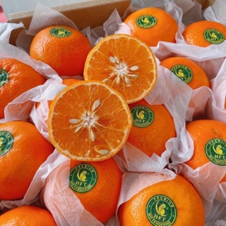 ส้มไต้หวันนกแก้ว WO ไซส์ XL 🍊🍃 1 กิโลกรัม✨สดใหม่ หวาน ฉ่ำ อร่อย