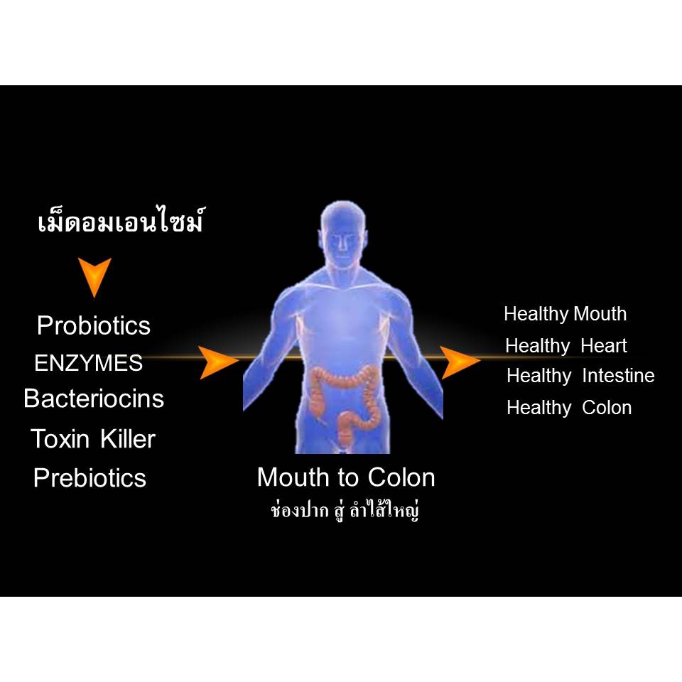 ภาพสินค้าEnzyme pepp เม็ดอมเอนไซม์ช่วยย่ออาหารแบบฉับพลันแก้ท้องอืด ช่วยดับกลิ่นปาก แก้เมา เมาค้าง 1 ชุด 2 กระปุก 60 เม็ด จากร้าน livewell_th บน Shopee ภาพที่ 8