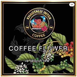 Coffee Blossom ชาดอกกาแฟ - 50g.