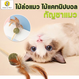 Catnip Toy ไม้ล่อแมวแคทนิป ไม้ตกแมว ใส่แคทนิปบอล ของเล่นแมว กัญชาแมว ผลิตจากวัสดุธรรมชาติ 100%