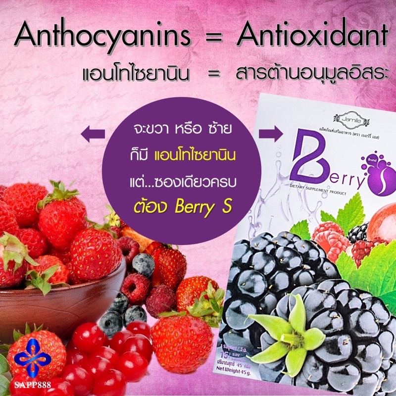 เบอร์รี่-เอส-berry-s-ดีท็อกซ์-detox-ล้างสารพิษในร่างกาย-ทำให้ระบบเลือดสะอาด-ช่วยให้ระบบขับถ่ายดี