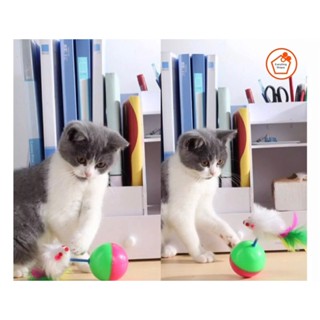 +พร้อมส่ง+ ของเล่นแมว ลูกบอลล้มลุก ลูกบอลหนูล้มลุก ของเล่นแมว อุปกรณ์สัตว์เลี้ยง