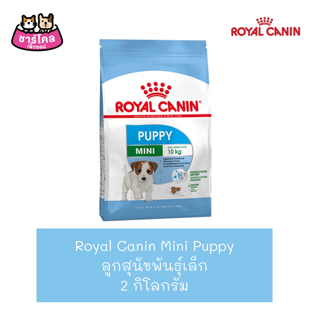 royal-canin-mini-puppy-2-kg-อาหารสุนัข-เม็ดเล็ก-สำหรับลูกสุนัขพันธุ์เล็กต่ำกว่า-10-เดือน-ขนาด-2-กิโลกรัม