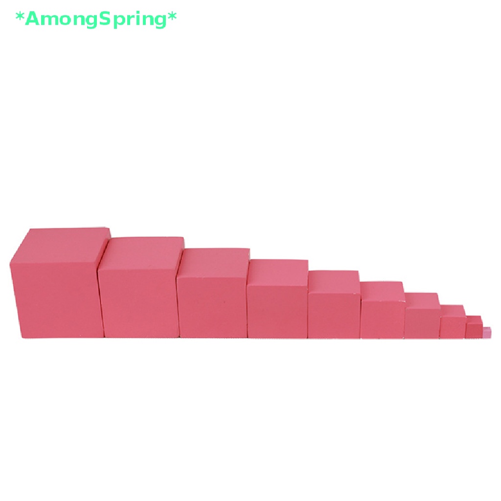 amongspring-gt-montessori-materials-pink-tower-early-childhood-education-preschool-kids-toys-new