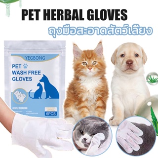 พร้อมจัดส่ง🐱ทำความสะอาดถุงมือสัตว์เลี้ยง ถุงมือสัตว์เลี้ยงแบบใช้แล้วทิ้ง ถุงมือทำความสะอาดฆ่าเชื้อ Pet clean gloves