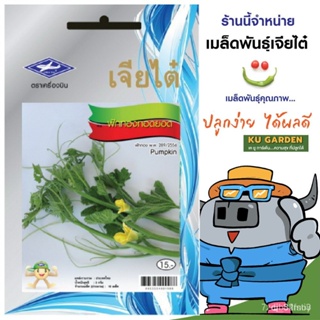 ผลิตภัณฑ์ใหม่ เมล็ดพันธุ์ เมล็ดพันธุ์คุณภาพสูงในสต็อกในประเทศไทย พร้อมส่ง ะให้ความสนใจของคุณCHIATAI  ผักซอง เจี /ต้นอ่อน