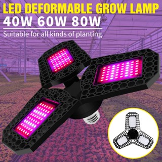 AC85-265V Led Grow Light Full Spectrum หลอดไฟปลูกต้นไม้ E27 40/60/80W ไฮโดรโปนิกส์ หลอดไฟปลูกพืช 108/126/144Leds