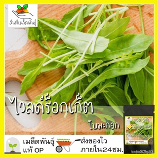 ผลิตภัณฑ์ใหม่ เมล็ดพันธุ์ เมล็ดพันธุ์ ไวลด์ร็อกเก็ต ใบมะกอก 300 เมล็ด Olive Leaf Wild Rocket seed เมล็ดพันธุ์แท้/ง่าย LV