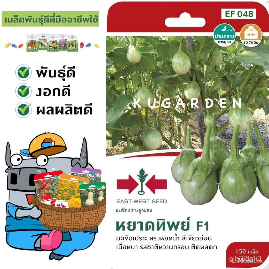 ผลิตภัณฑ์ใหม่-เมล็ดพันธุ์-เมล็ดพันธุ์คุณภาพสูงในสต็อกในประเทศไทย-พร้อมส่ง-ะให้ความสนใจของคุณsorndaeng-ผักซอง-ศ-ต้นอ่อน