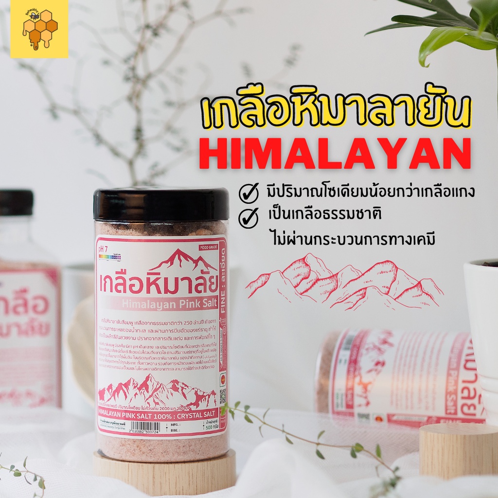 เกลือหิมาลายัน-เกลือชมพู-เกลือหิมาลัย-amp-ดอกเกลือ-himalayan-pink-salt