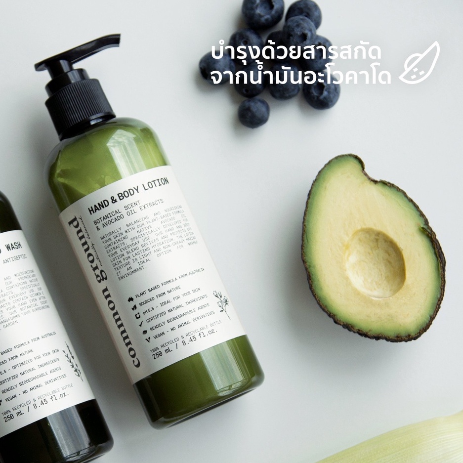 Common Ground Hand & Body Lotion โลชัน บำรุงผิว โลชันผิวกาย โลชันมือ ...
