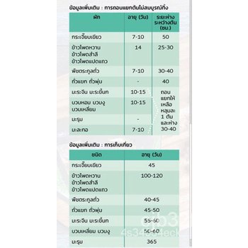 ผลิตภัณฑ์ใหม่-เมล็ดพันธุ์-เมล็ดพันธุ์-มะระขี้นก-ลูกใหญ่-10-แถม-1-คละได้-l84y-ผักสลัด็ดด-มะระ-wrop