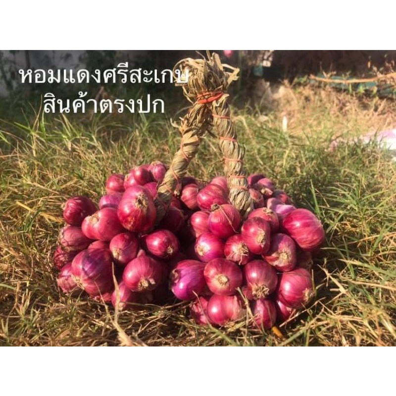 ภาพสินค้าหอมแดงศรีสะเกษคละไซส์1กิโล70บาท กระเทียมจีนสวยตรงปกคัดพิเศษอย่างดี จากร้าน beang122059 บน Shopee ภาพที่ 1