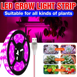 LED Grow Light Strip USB พืชสเปกตรัมเต็มโคมไฟสตริง DC5V 0.5/1/2/3m เรือนกระจกไฮโดรโปนิกส์โคมไฟสำหรับในร่มเมล็ดปลูกดอกไม้