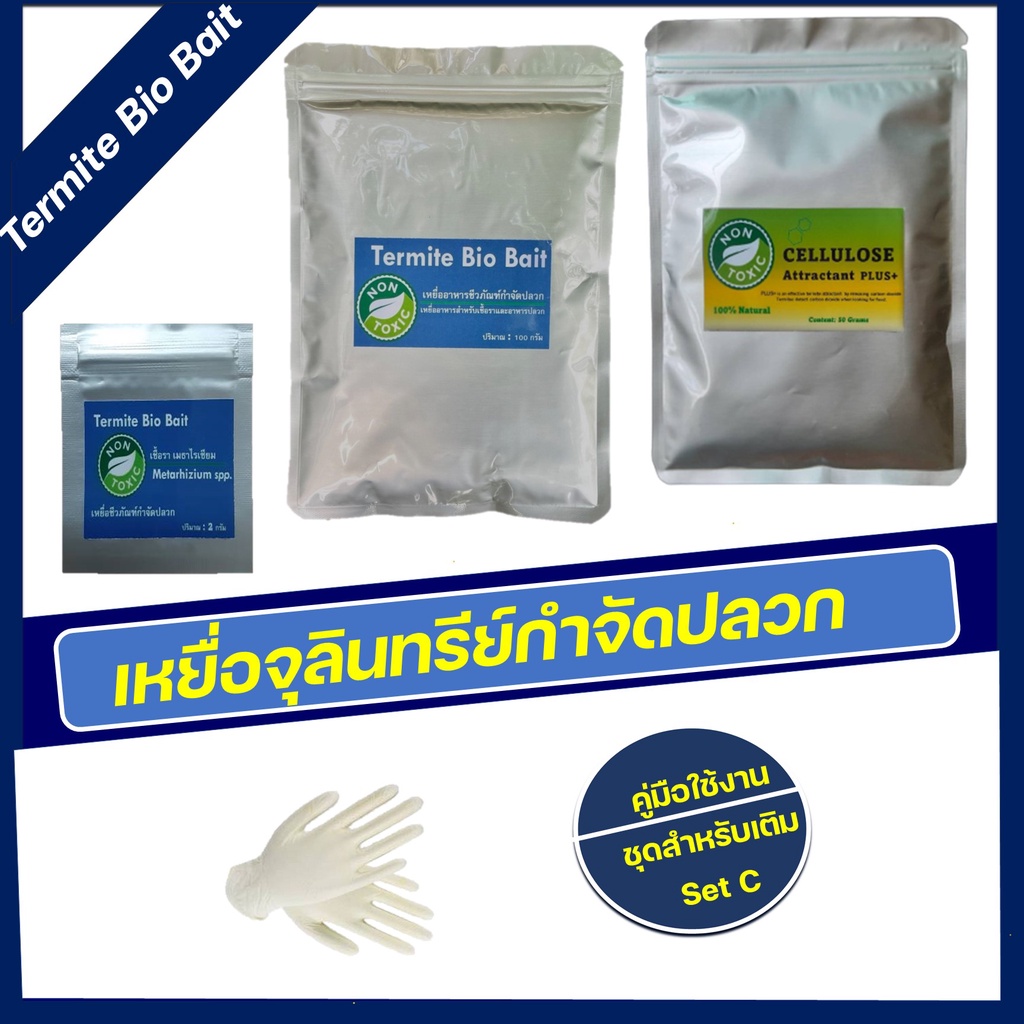 termite-bio-bait-ชุดเหยื่อเชื้อรากำจัดปลวก-กำจัดปลวกตายยกรัง