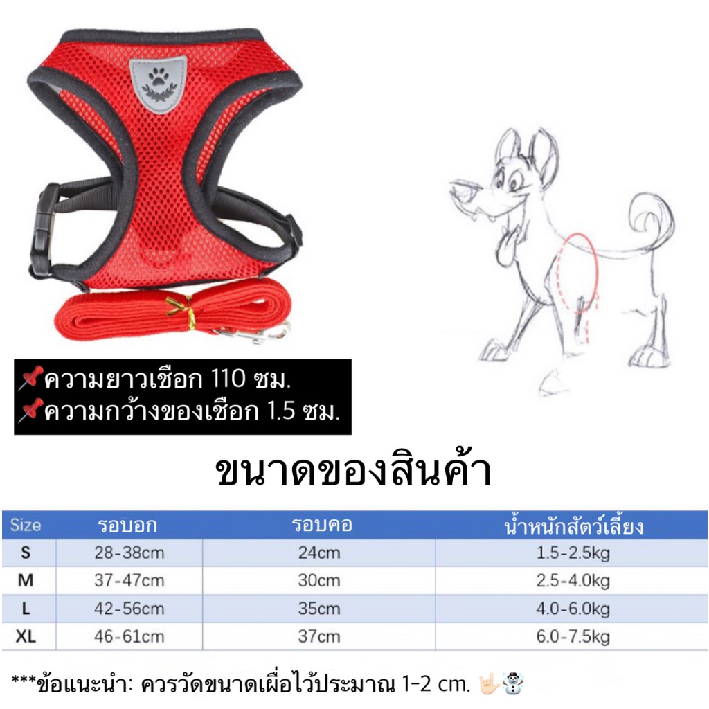 bn-439-สายจูงรัดอกสัตว์เลี้ยง-หมา-แมว-สายจูงสุนัข-แมว-เสื้อรัดอก-สายจูง-หมา-แมว-ราคาถูก-พร้อมส่ง