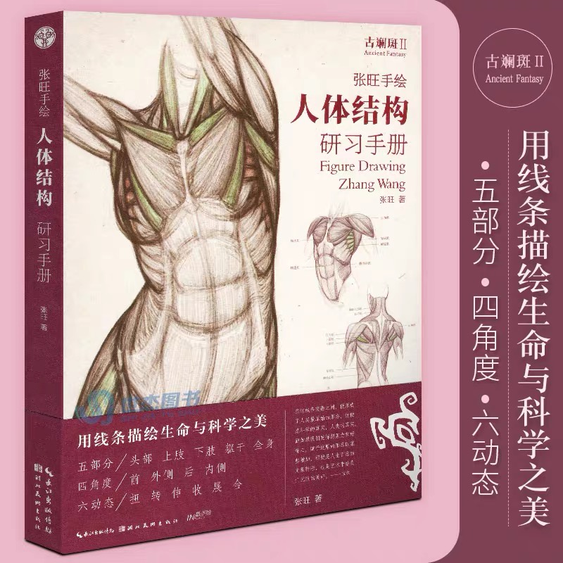 หนังสือสอนวาดรูป-figure-drawing-โดย-zhang-wang-สอนวาดภาพมนุษย์-ภาพคน-วาดโครงสร้างต่างๆของร่างาย-ลำตัว-มือ-แขน-และอื่นๆ