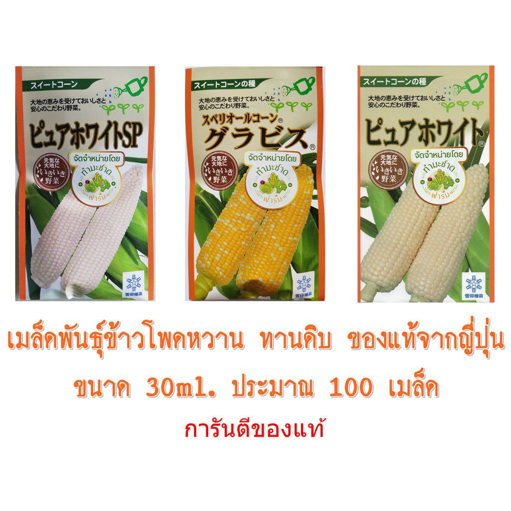 ซองแท้-30ml-เมล็ดพันธุ์-ข้าวโพด-เพียวไวท์-pure-white-hokkaido-sweet-corn-ง่าย-ปลูก-สวนครัว-เมล็ด-ง่าย-4oos