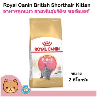Royal Canin British Shorthair Kitten (2 kg.)อาหารลูกแมว สายพันธุ์บริติช ชอร์ตแฮร์ (2 กิโลกรัม/ถุง)