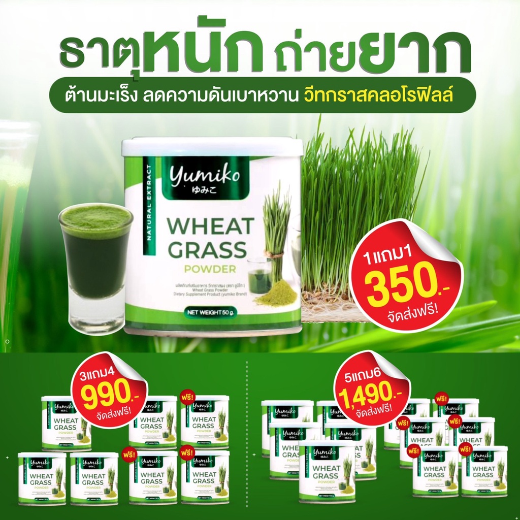 Wheat grass แท้💯 คุณภาพสูง เข้มข้น วีทกราส ไฟเบอร์ คลอโรฟิลล์ ต้นอ่อ