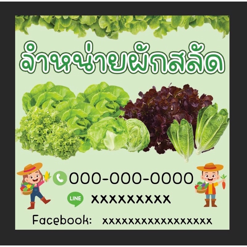 ป้ายร้านผัก-ผักสลัด-ขนาด-100-100-ซม-พร้อมพับขอบตอกตาไก่