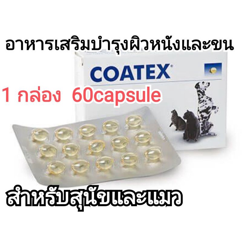 coatex-1กล่อง-60capsule-อาหารเสริมบำรุงขนสุนัข-อาหารเสริมบำรุงขนแมว