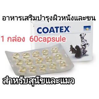 coatex 1กล่อง 60capsule อาหารเสริมบำรุงขนสุนัข อาหารเสริมบำรุงขนแมว