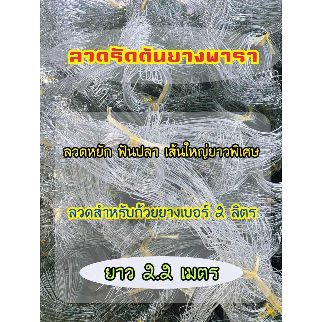 ลวดรัดต้นยางพารา-ลวดหยักฟันปลา-เบอร์-13-เต็ม-ยาว-2-2เมตร-แพ็ค-50-เส้น-วงลวด-7-นิ้ว-ลวดเส้นใหญ่-ทนแดดฝน-ไม่เป็นสนิมง่าย