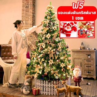 ⭐ต้นคริสต์มาส🎄【พร้อมส่ง/ ฟรี ! ของตกแต่ง 175 ชิ้น】🎄ต้นคริสมาสใหญ่🌈 ขนาด 90-210cm christmas tree  วันคริสต์มาส⭐🎄