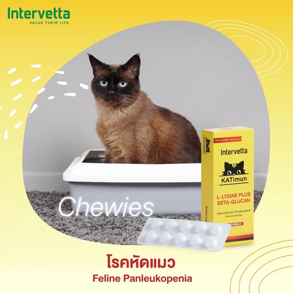 katimun-อาหารเสริมภูมิคุ้มกันแมว-exp-01-2024-ประกอบด้วย-l-lysine-และ-beta-glucan-กล่อง30เม็ด-มีแบ่งขาย