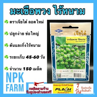 ผลิตภัณฑ์ใหม่ เมล็ดพันธุ์ เมล็ดพันธุ์ มะเขือพวง ไร้หนาม จำนวน 150 เมล็ด/ซอง ผักซอง เจียไต๋ ลอตใหม่ ปลูกง่าย งอก /ง่าย KI