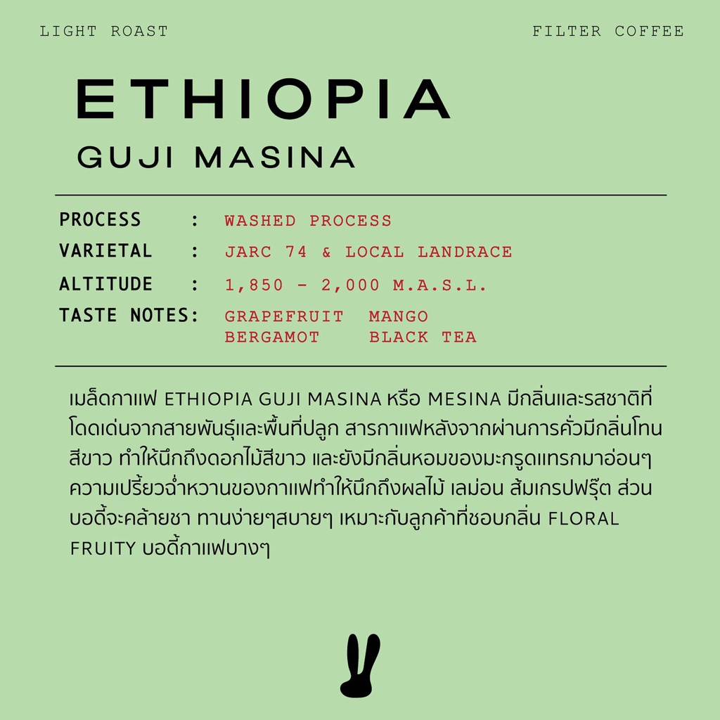 ethiopia-guji-masina-100g-เมล็ดกาแฟสำหรับชง-drip-filter-l-อาราบิก้า100-l-coffee-beans-l-casa-lapin-coffee-roasters
